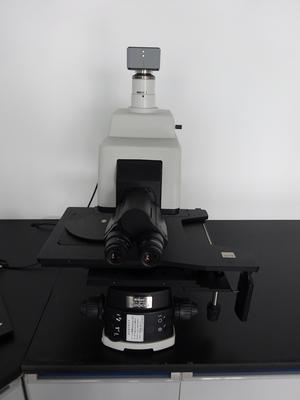 NIKON 显微镜